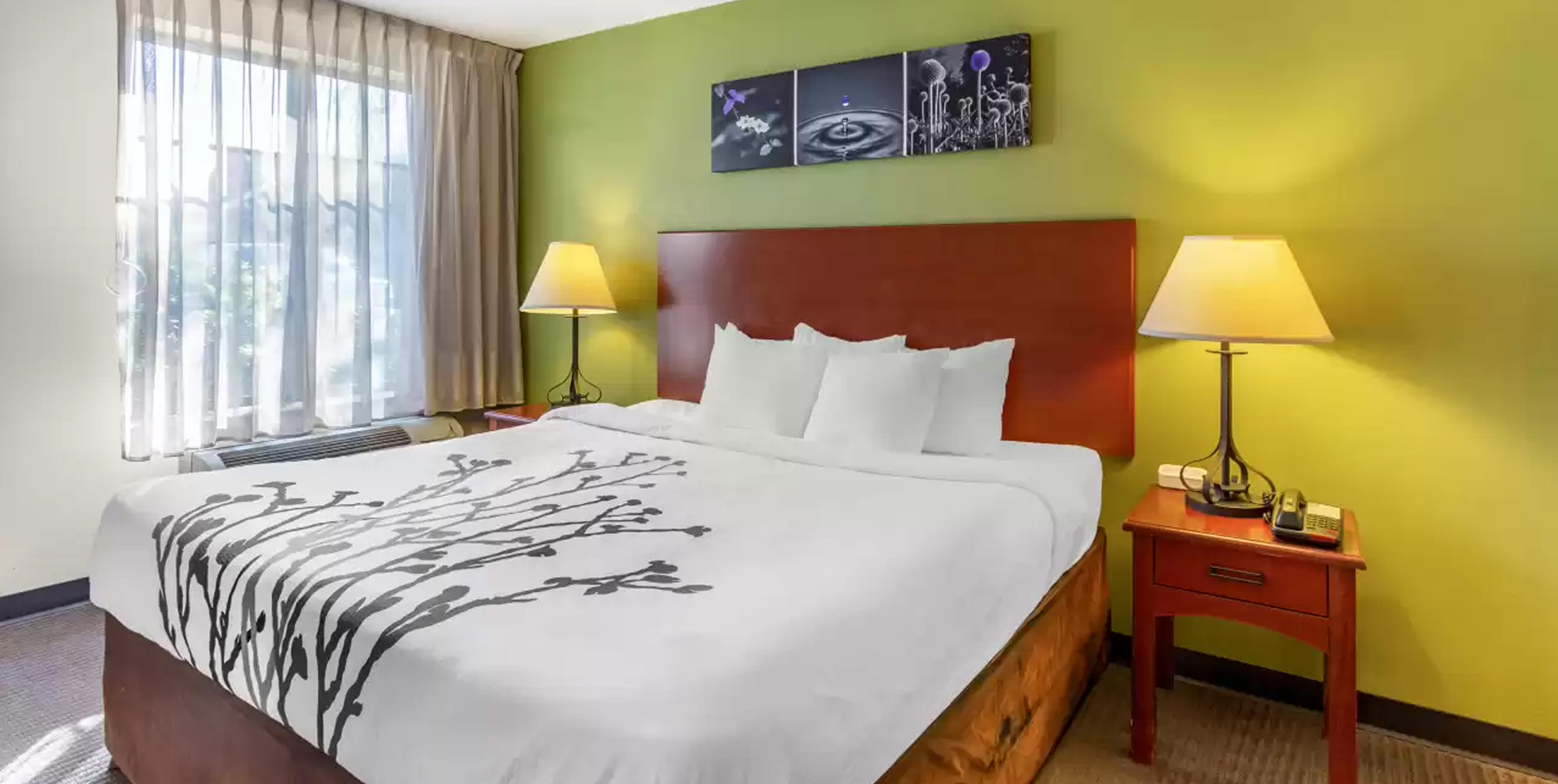 Hotel Amenities